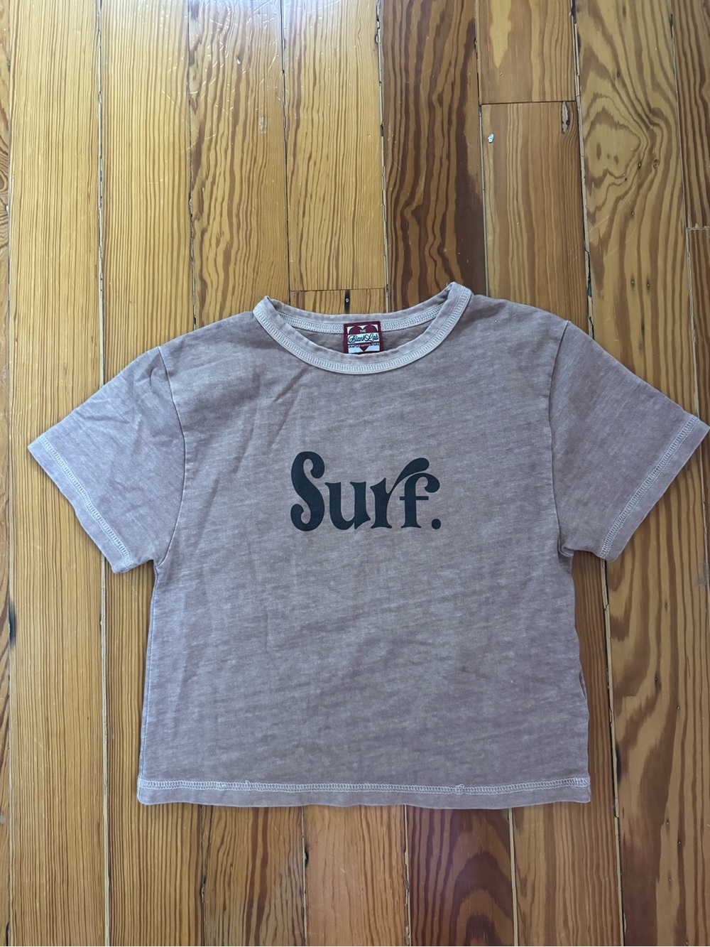 The Blank Lab Surf Cropped Tee